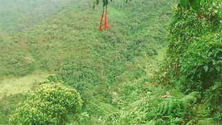 Kolombia ing Alas kanggo Menehi Basa lan Bajingan karo wong-wong Manca Jinis ing ijol-Ijolan Kanggo Bantuan Financial.