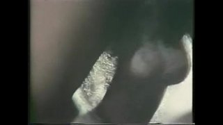 Vintage Međurasni Bonk 1