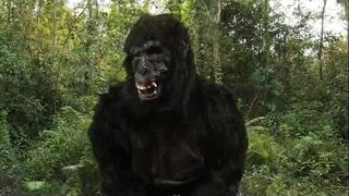 ǎ�东&amp;#039;s40盎司的反弹！