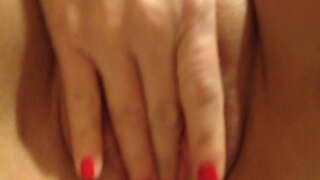 گربه های داغ